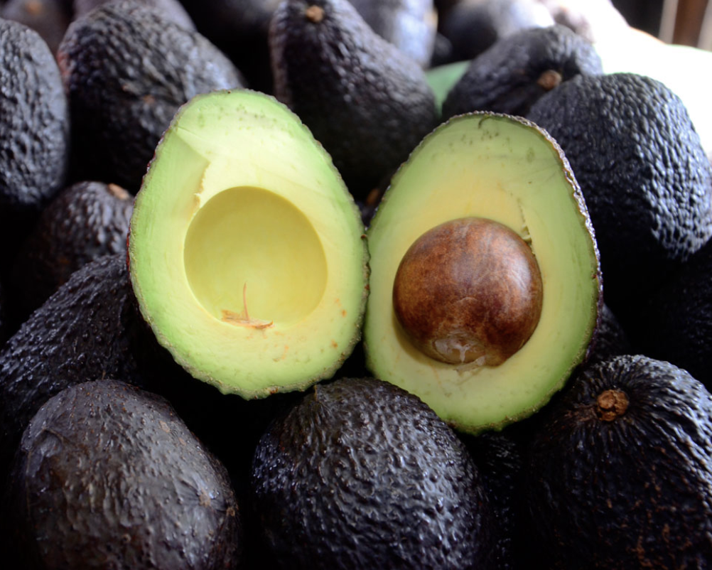 Chilean Avocado Producers are Innovating for Water Efficiency