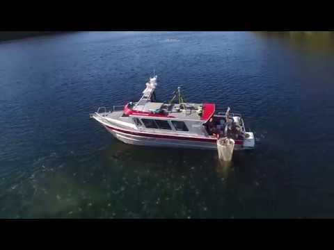 UBC Researchers Use Drones to Track Jellyfish Blooms