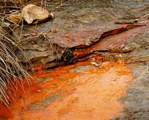New Company to Clean up Mine Water