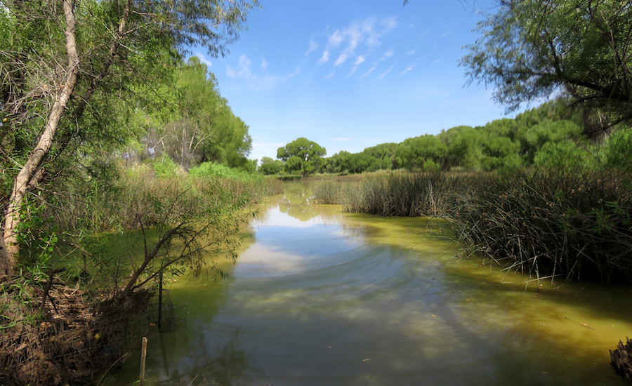 How do major copper producers in Arizona navigate water stewardship issues?Terry Braun - SRK Consulting | November 27, 2023 | 4:45 pm News USA C...