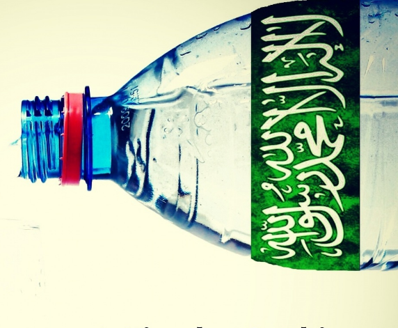 Saudi Arabia Rejects Water Exports Despite Low Sales