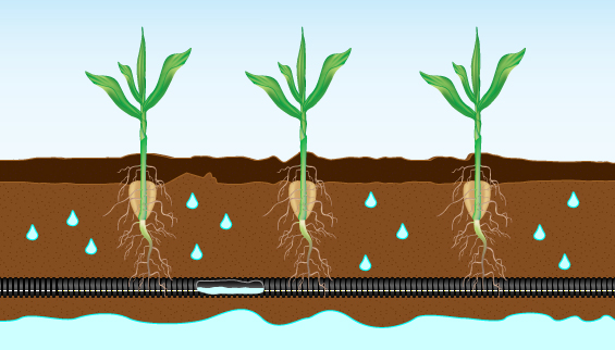 New Eco-Friendly Practices For Agricultural Drainage