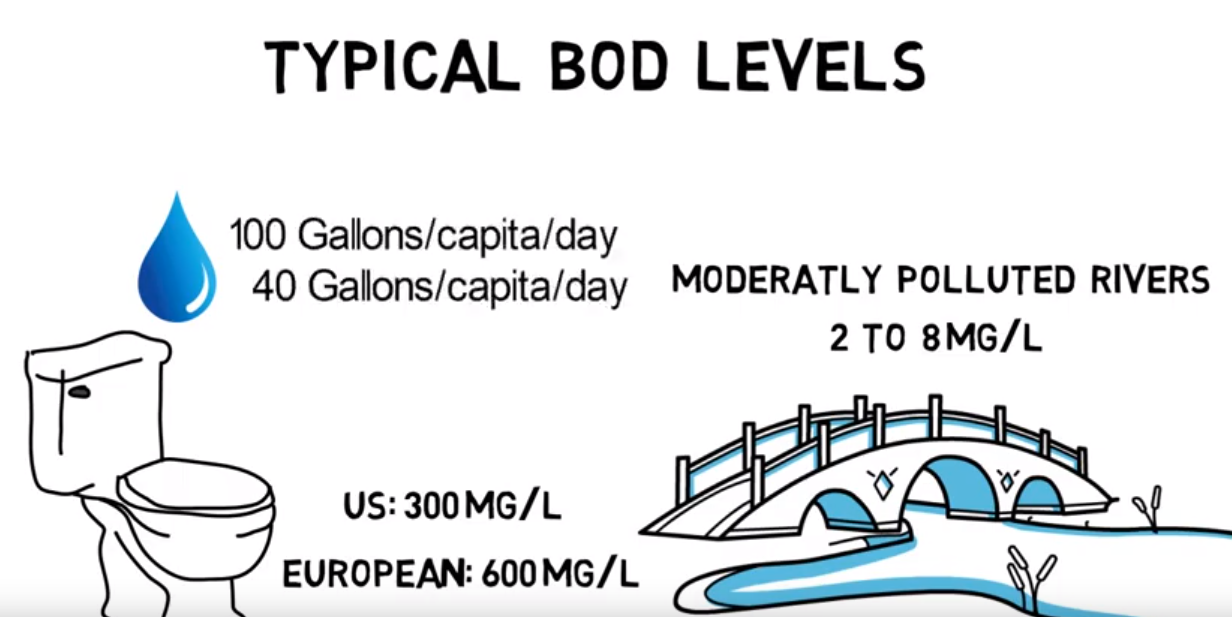 BOD (Biological Oxygen Demand) - The Water Quality Indicator