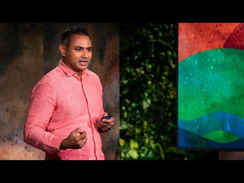 Mangroves, Storm Walls and Other Ways to Protect Coasts from Climate Change | Dave Sivaprasad | TED