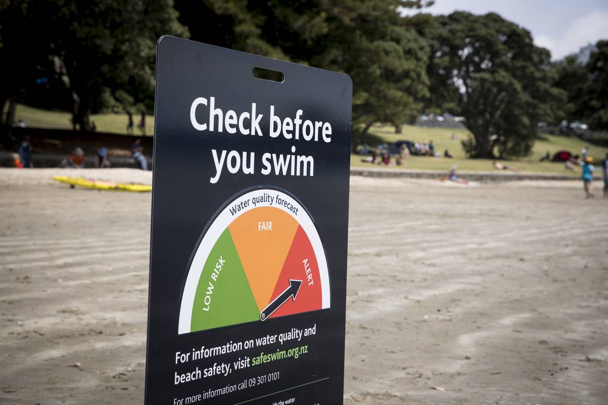 Auckland's Polluted Beaches: The Five Big Questions