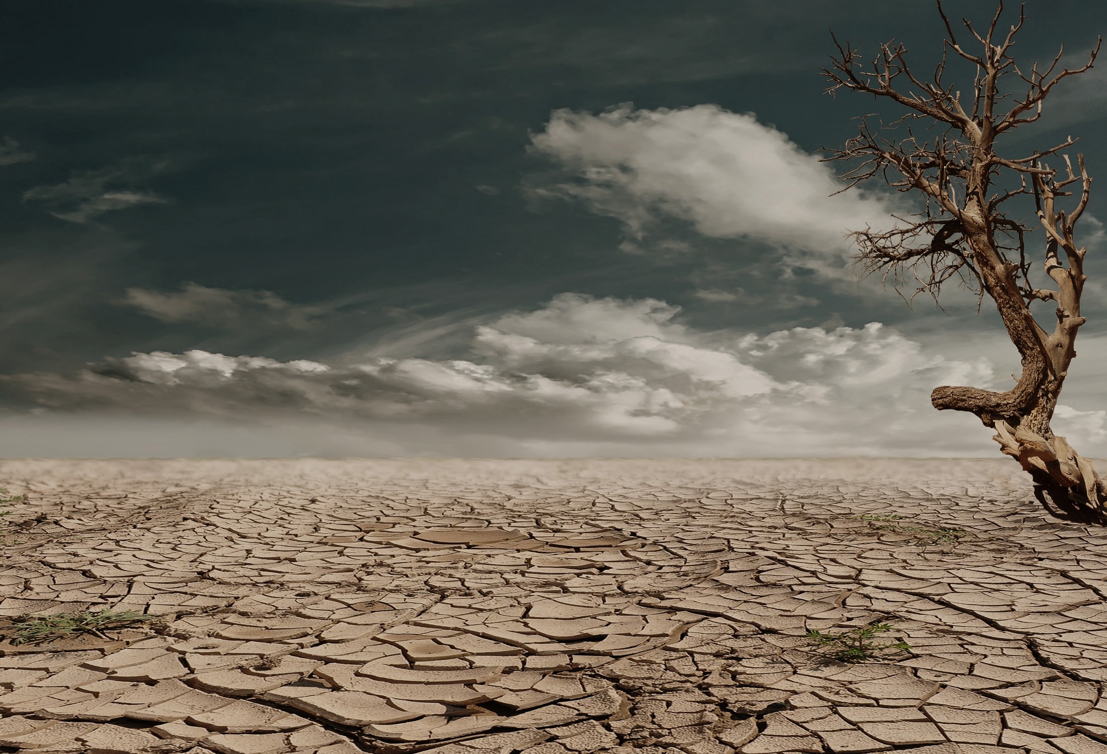 Climate Scientists Study the Odds of a Megadrought