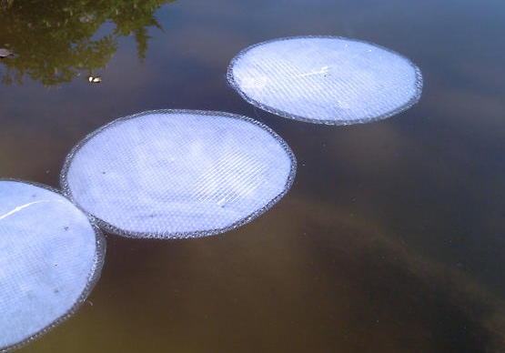 Nanotech Lilypads