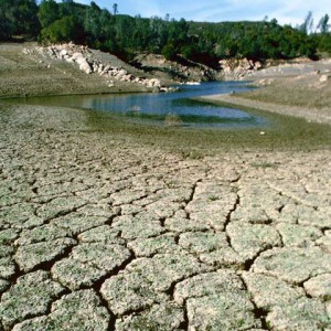 What is Causing Texas’ Water Shortage? Study Reveals Factors Beyond Irrigation, Population