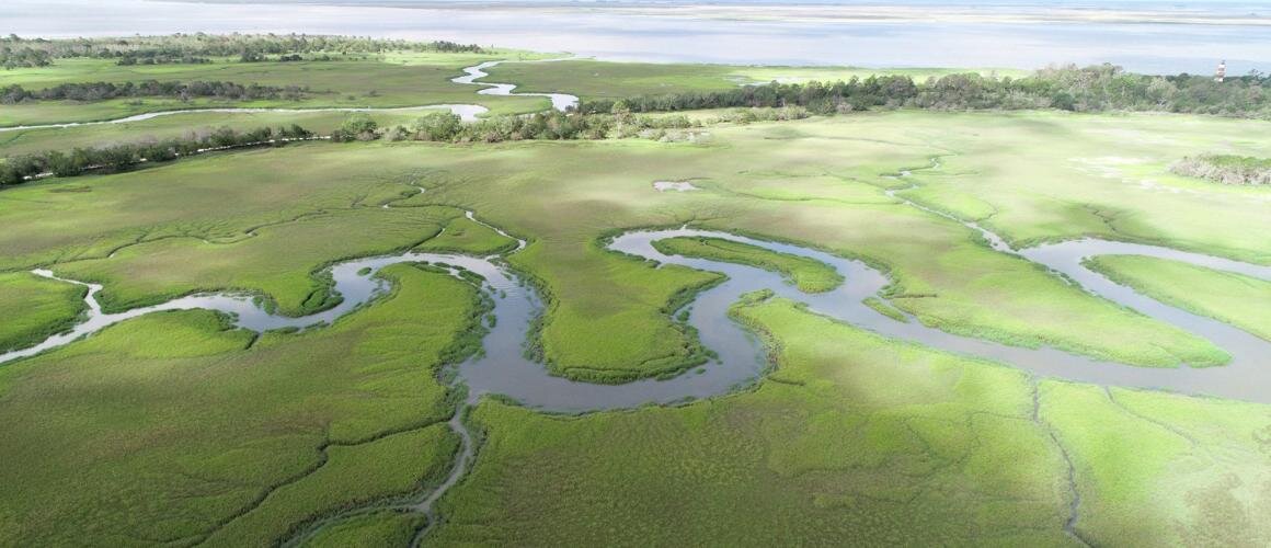 New study focusing on 750,000 acres of US coastal areas finds mussels act as ecosystem engineersThe study&#039;s co-authors include researchers from ...