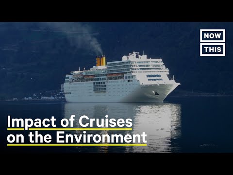 Why Cruise Ships Are Terrible For The Environment | NowThis Earth
