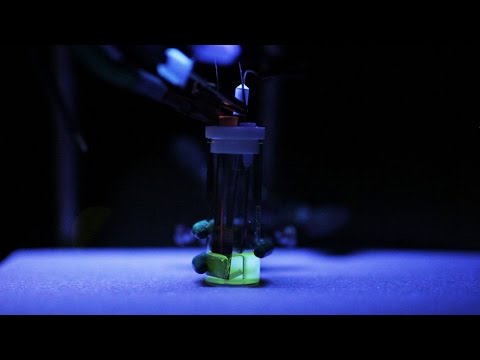 Electrochemical Method to Clear Pollutants from Water