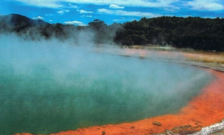 The Hidden Aquatic Gems of Aotearoa