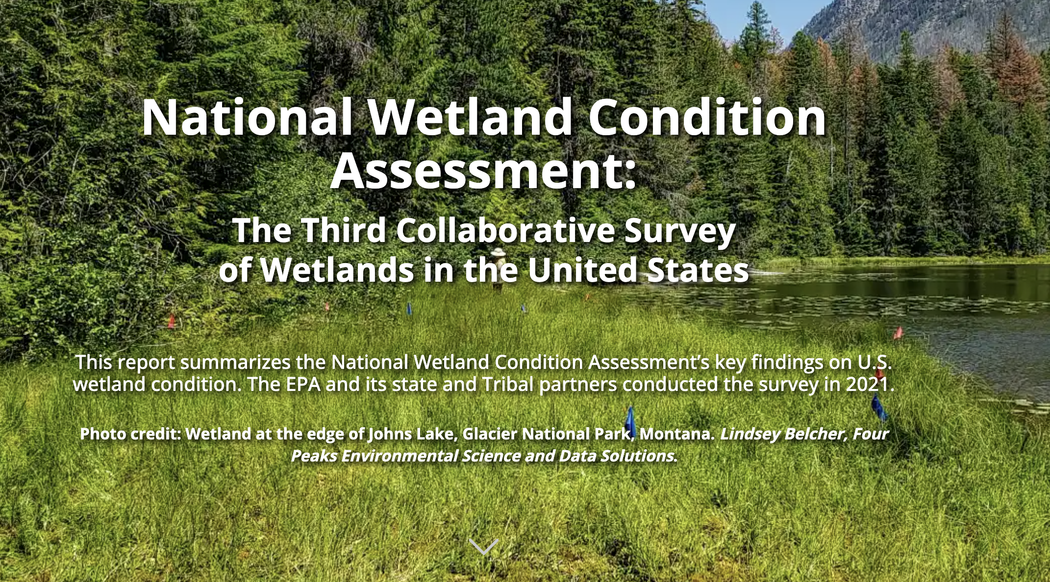 National Wetland Condition Assessment Report