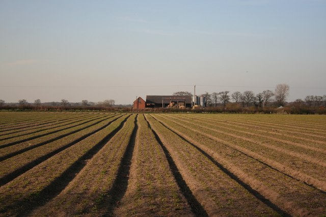 South California Farmers Reap Millions Selling Water to Cities