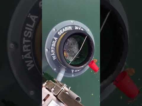 How the Seabin collects rubbish