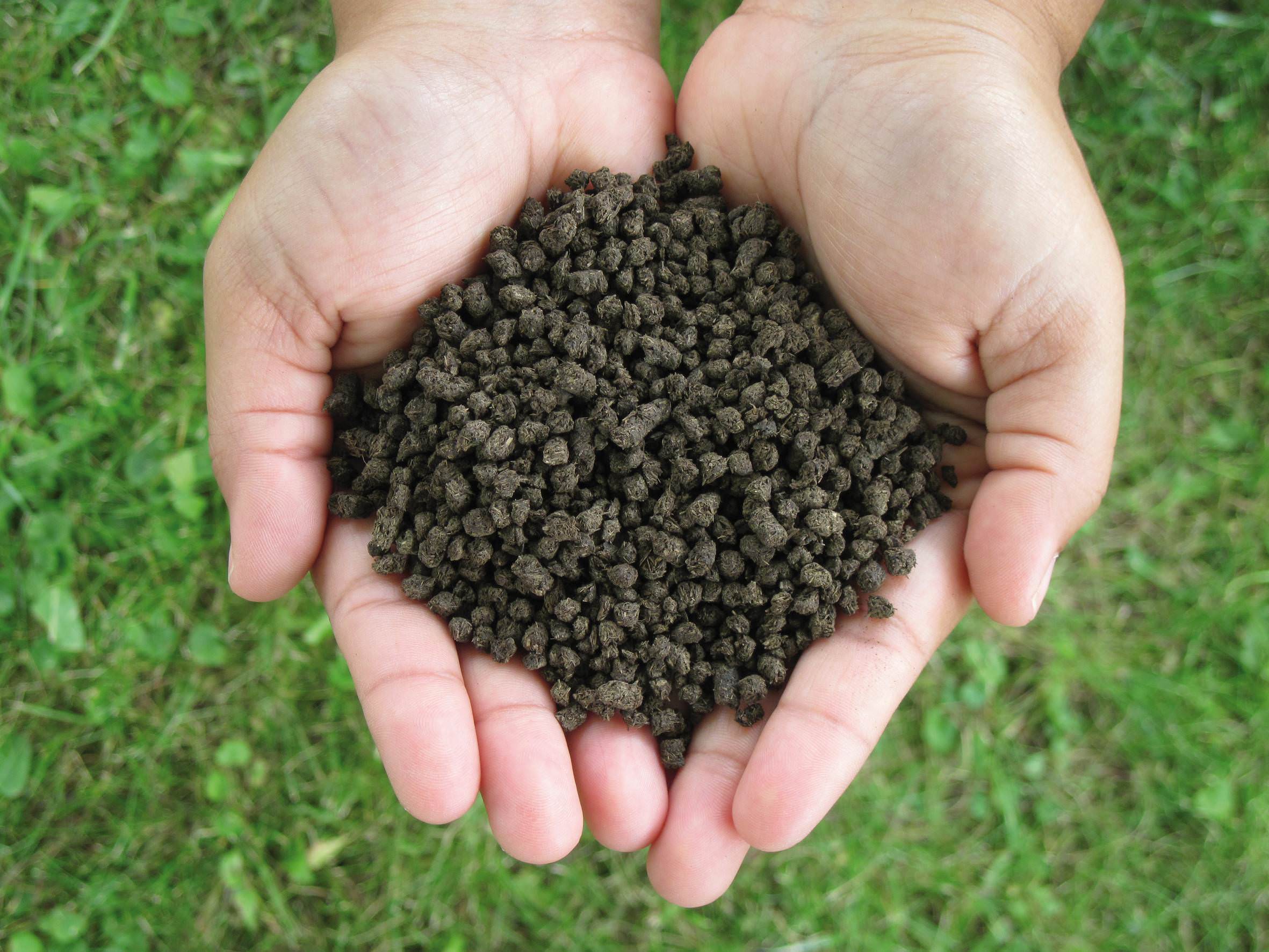Innovative Process for Environmentally Friendly Manure Treatment Comes onto the Market