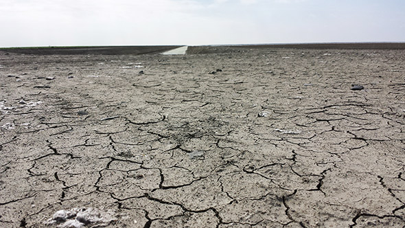 Excessive environmental regulation is ruining agriculture in California