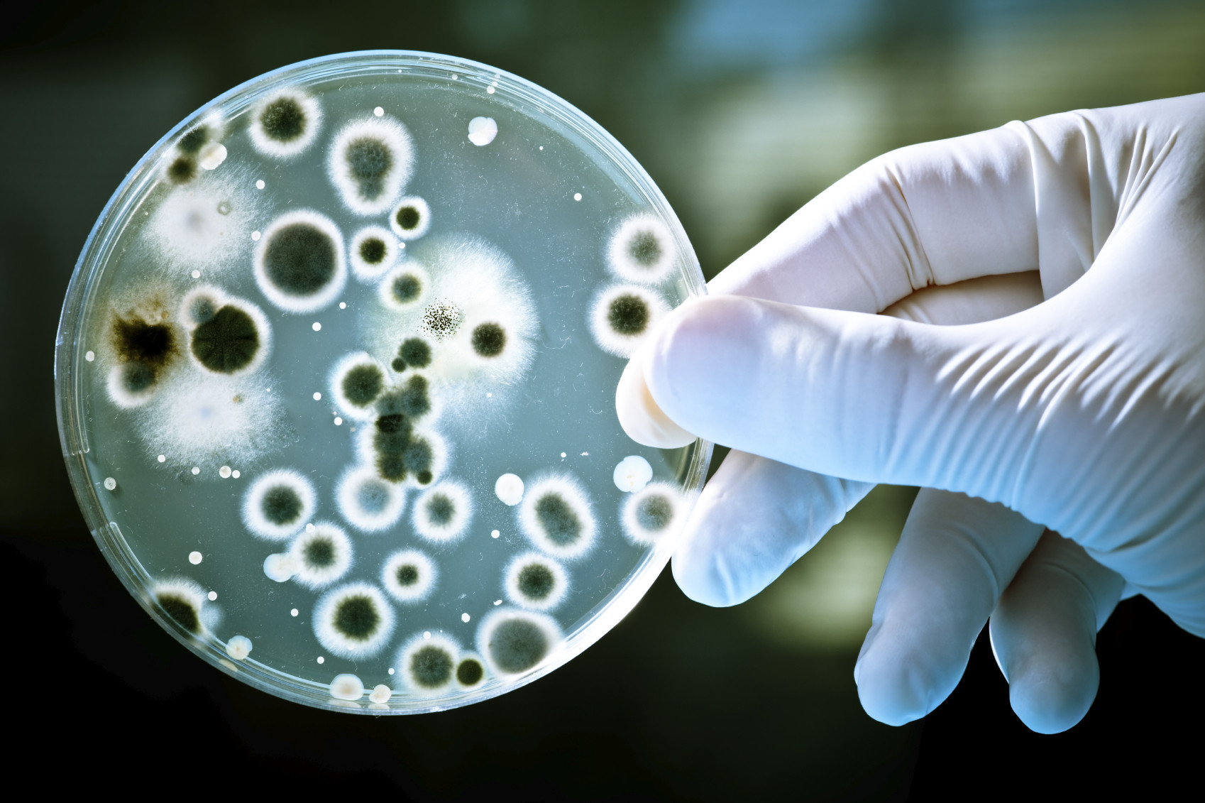 Contaminated Water Caused Gastro Outbreak in New Zealand