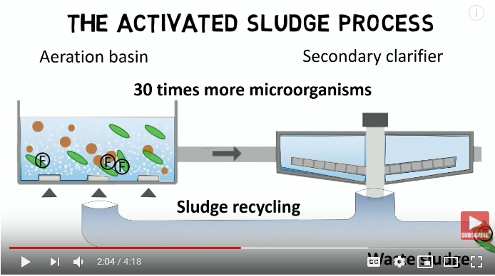 Activated Sludge Process