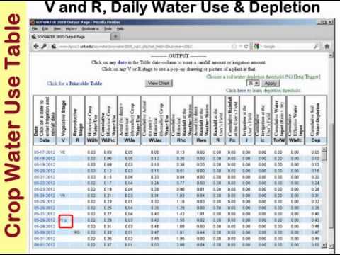 SoyWater - Optimizing Irrigation Efficiency