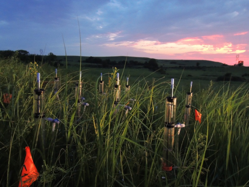 Soils Could Be Affected by Climate Change, Impacting Water and Food