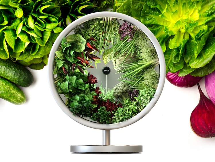 NASA-Inspired Indoor Garden Grows Vegetables Using Zero-Gravity Technology