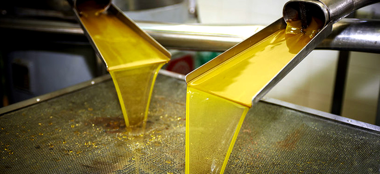 Olive Oil Byproduct Treatment Study