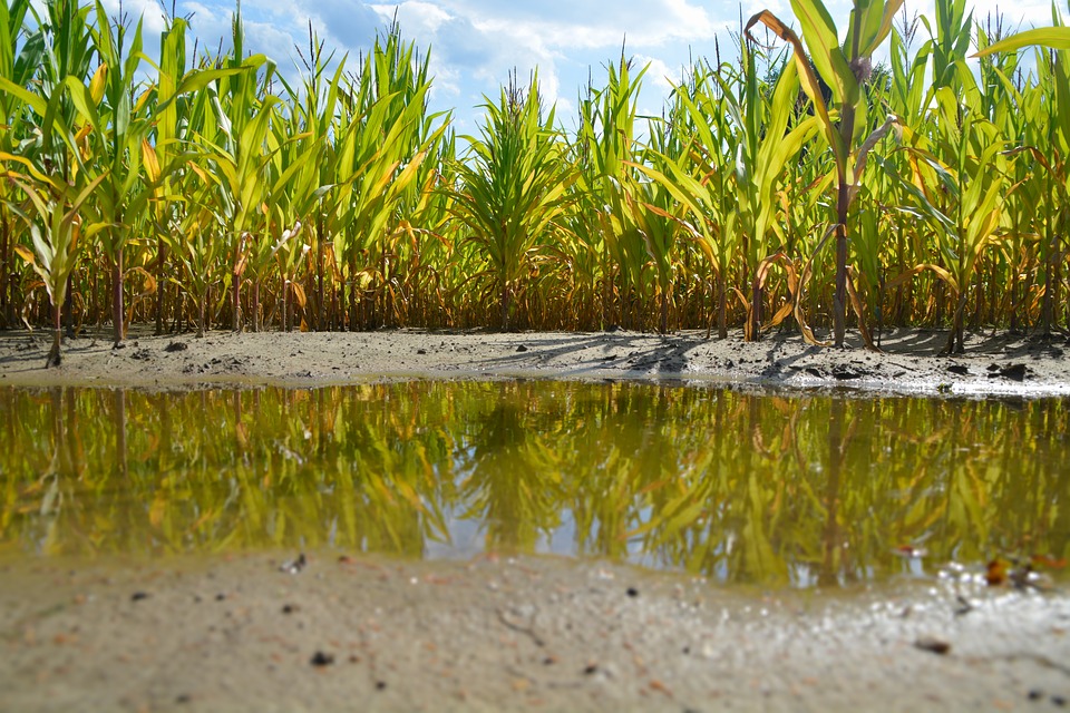 An Effective ​Way to ​Eliminate ​Atrazine and ​its By-products ​in Surface ​Water ​