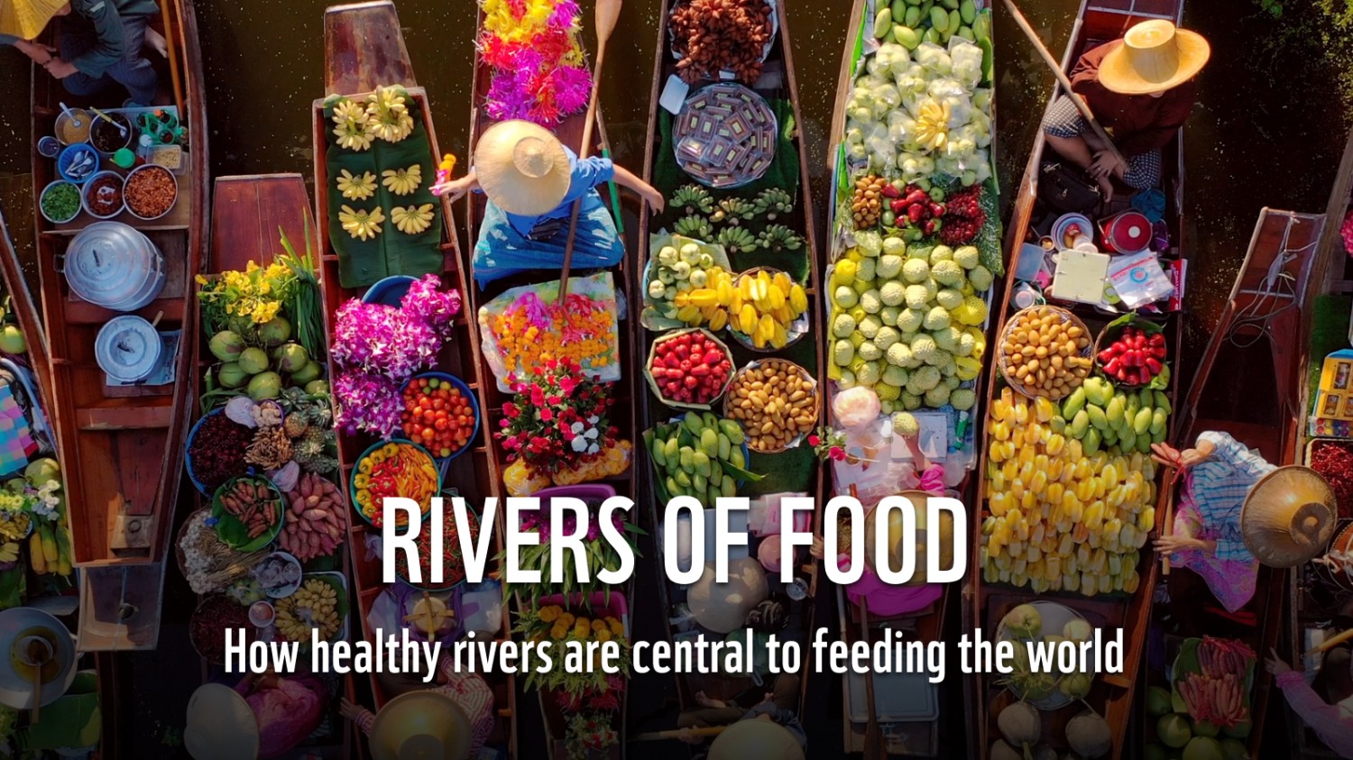 Rivers of FoodFood security is at risk from growing threats to rivers, which support one third of global food production.The urgent need to tran...
