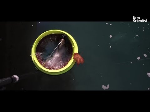 A Bucket Designed to Suck Up Ocean Trash