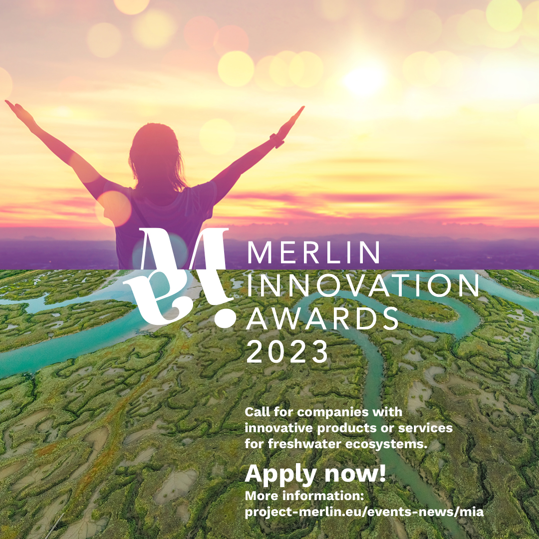 MERLIN Innovation Awards (MIA)