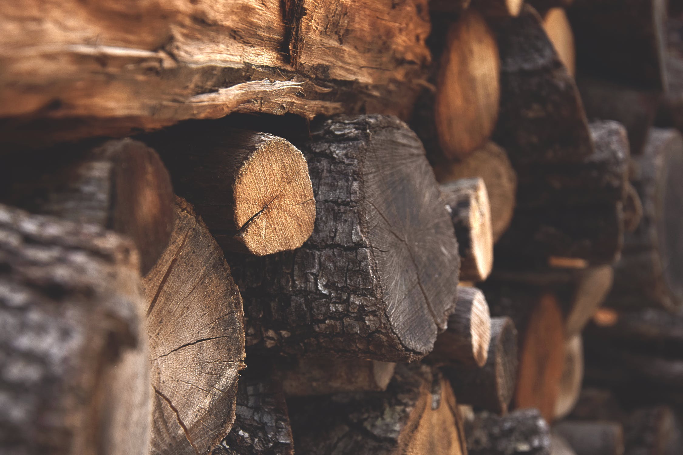 250,000 Melbourne Residents Losing Water Due to Logging near Water Catchments