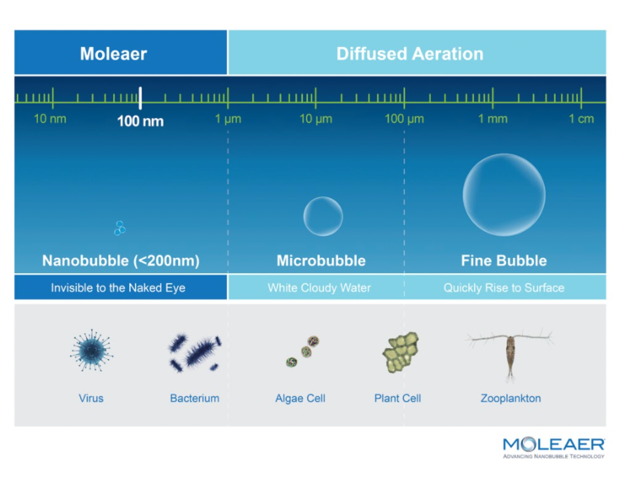 Moleaer Recognized in Two Categories: Excellence in Innovation and Energy and Sustainability