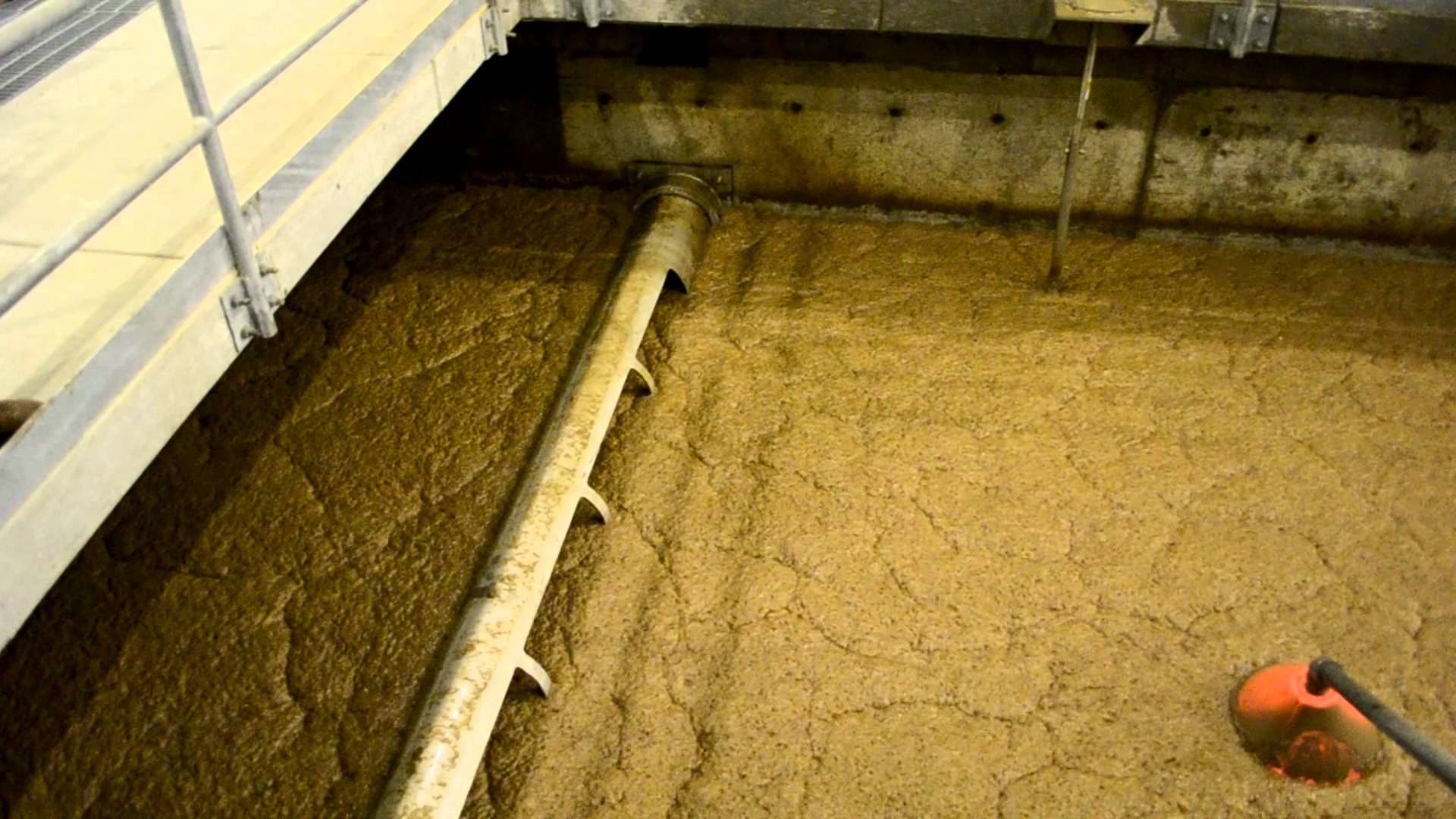 Wastewater Treatment Pilot Promises to Turn Scum into Profit