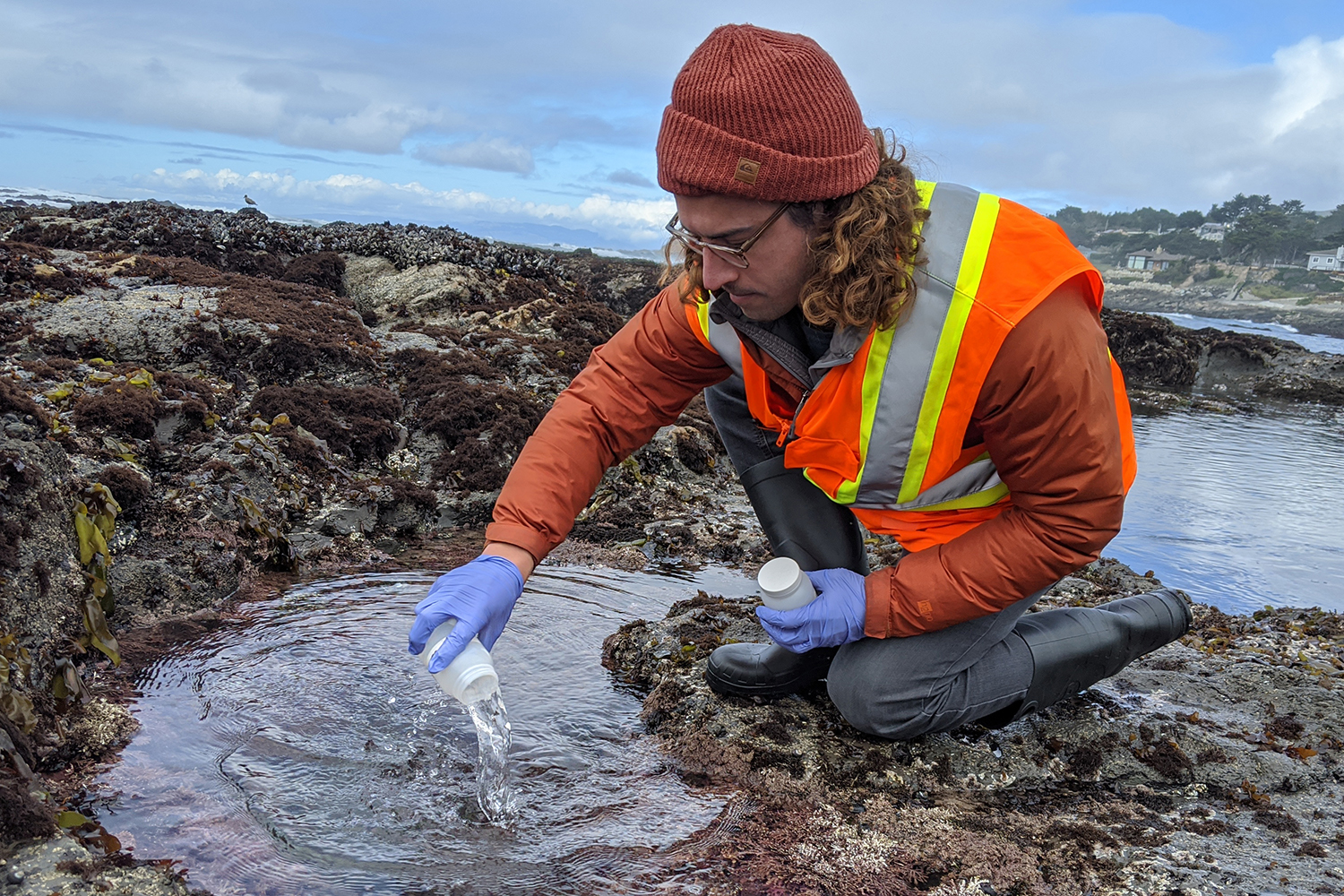 Stanford researchers develop a new way to forecast beach water quality