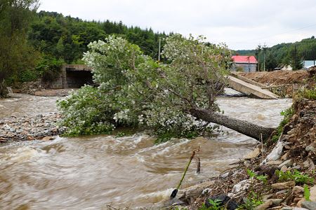 2023&#039;s Extreme Storms, Heat, And Wildfires Broke Records &mdash; A Scientist Explains How Global Warming Fuels Climate Disasters