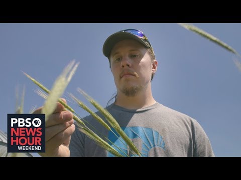 Can sustainable farming save Iowa's precious soil and water?