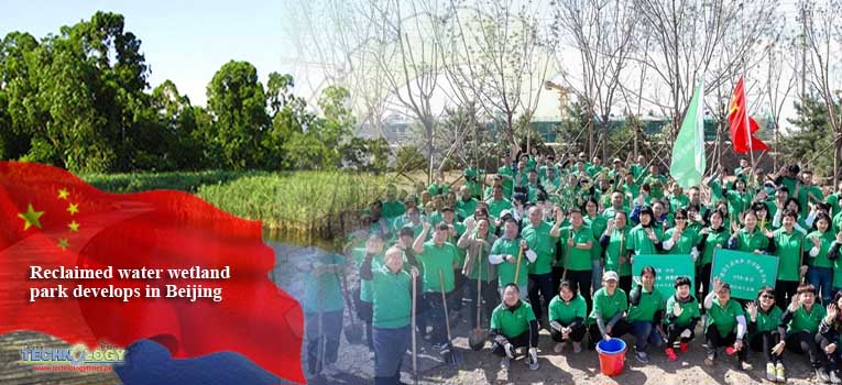 Reclaimed water wetland park develops in Beijing - Technology Times