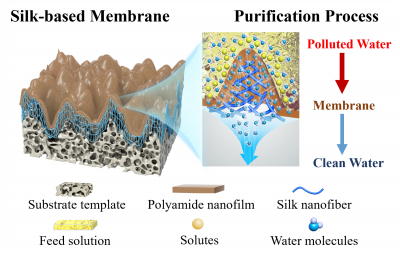 Revolutionary Silk-based Ultra-fast Filtration Membrane for Water Purification