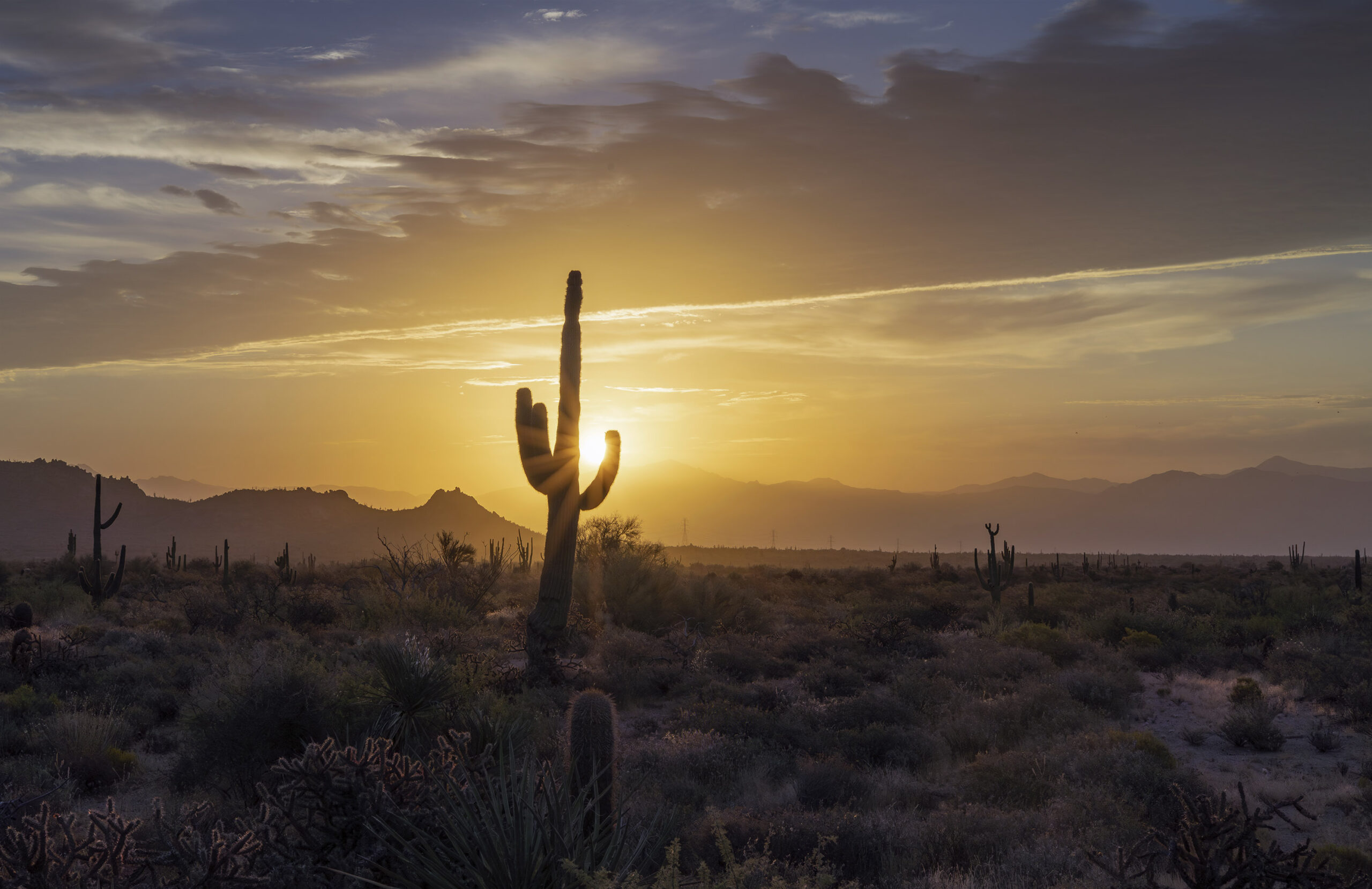 Why Arizona&rsquo;s Water Supply Is in Deeper Trouble Than You Think