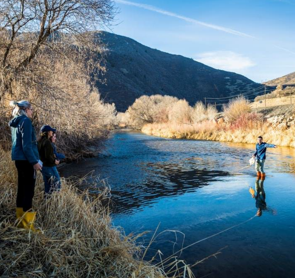 How Water ​Moves Massive ​Amounts of ​Carbon ​Laterally ​Through ​Ecosystems ​