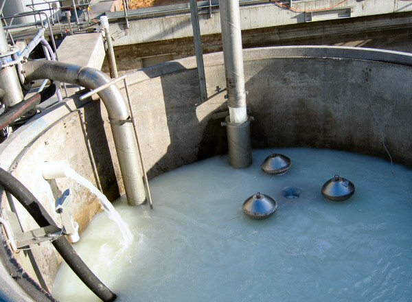 Dairy Industry's Wastewater Gets Clean