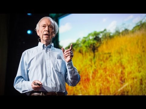 TED Talk - How to Green the World's Deserts