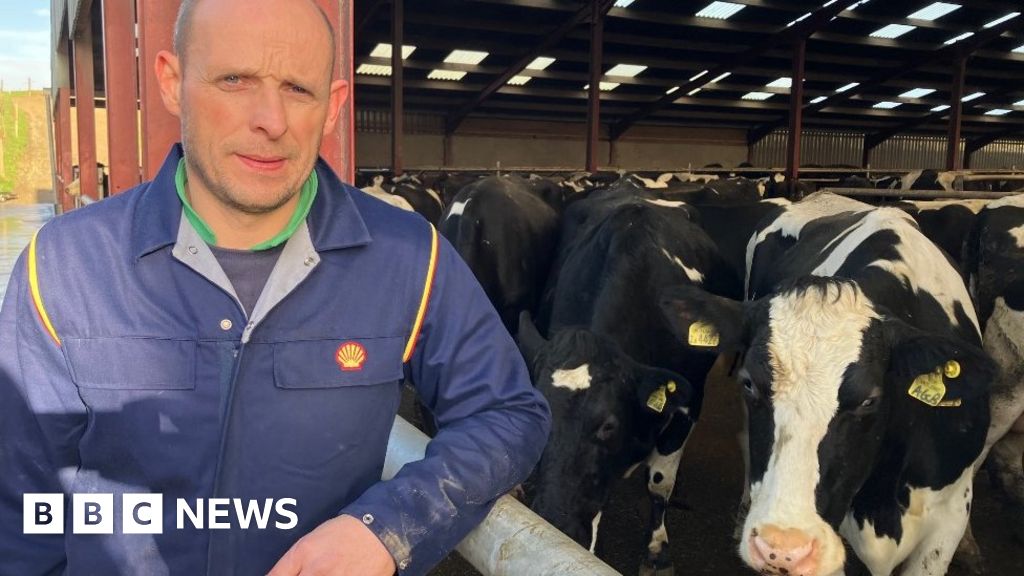 Aberystwyth University: Duckweed could feed cows and save riversScientists are hoping duckweed and slurry could help farmers "make money from mu...