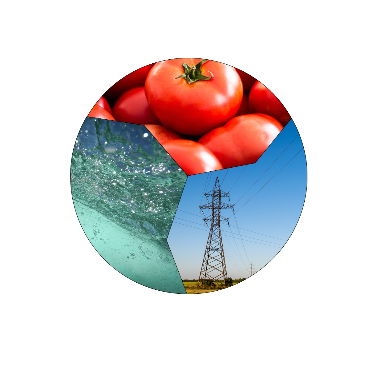 Competition Looking for Solutions to the Food-Water-Energy Nexus