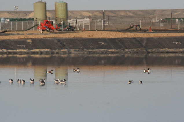 Utah Faces Toxic Water from Danish Flats