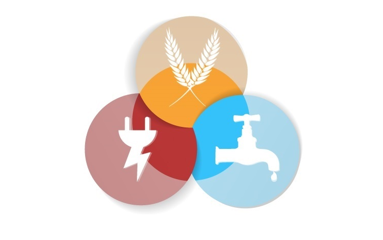 NSF Invests $72 Million in Food/Energy/Water System Nexus