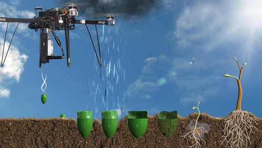 Drone Technology for Plantation