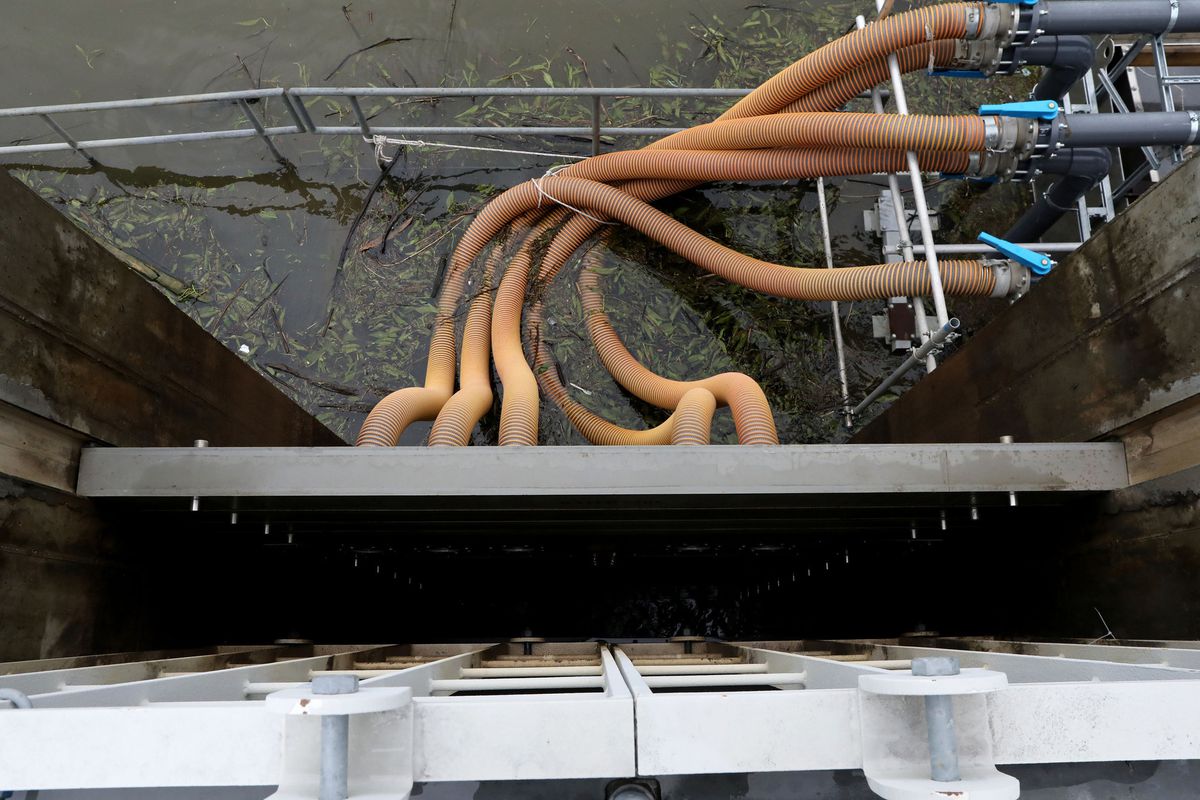 The company behind the viral fish tube &mdash; or salmon cannon &mdash; has a new project: Keeping Asian carp out of Lake Michigan using facial recognit...