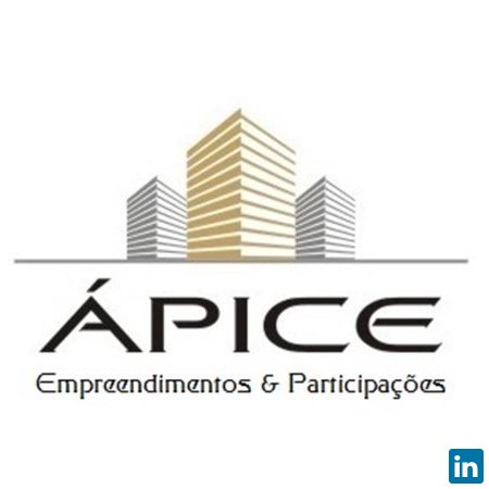 Lincoln Suguisaki, Managing Director - ÁPICE Empreendimentos e Participações - looking for new challenges